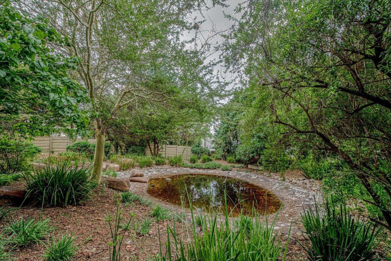 Wild Olive Executive Suite Johannesburg Buitenkant foto