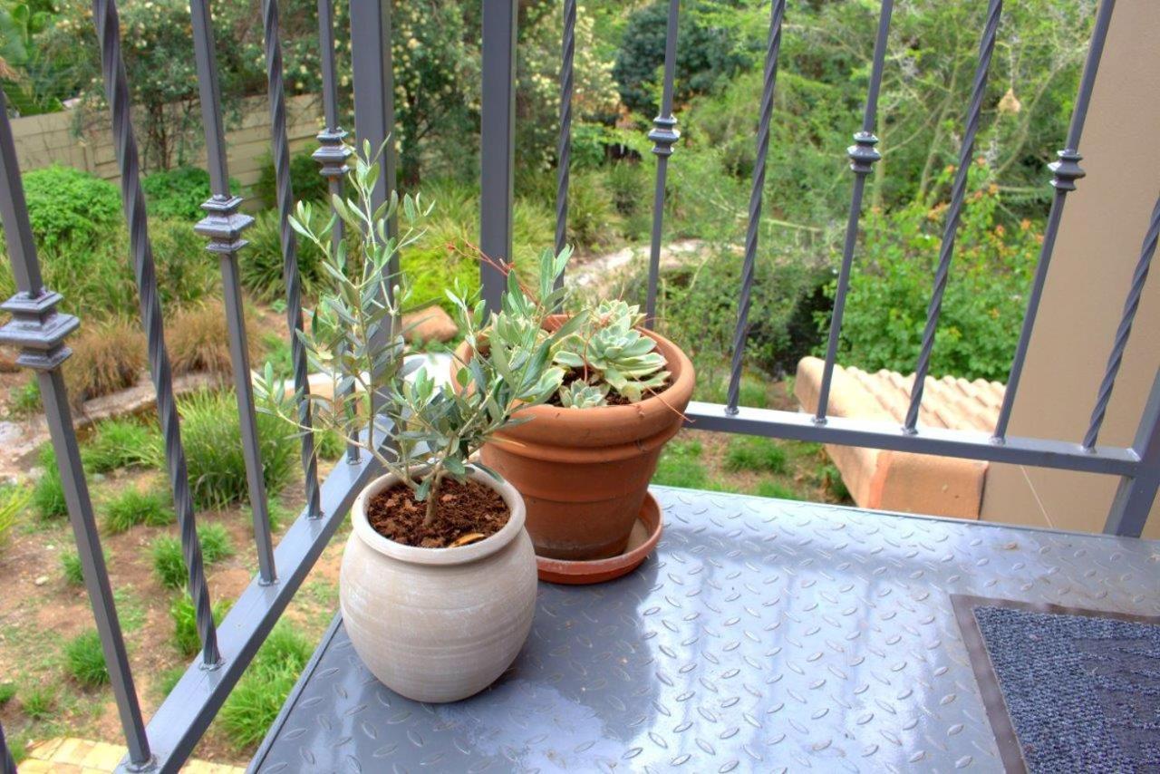 Wild Olive Executive Suite Johannesburg Buitenkant foto