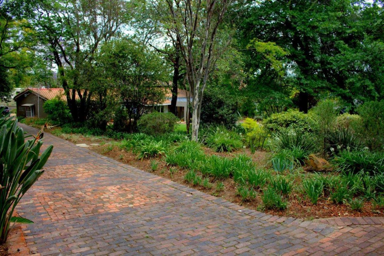 Wild Olive Executive Suite Johannesburg Buitenkant foto