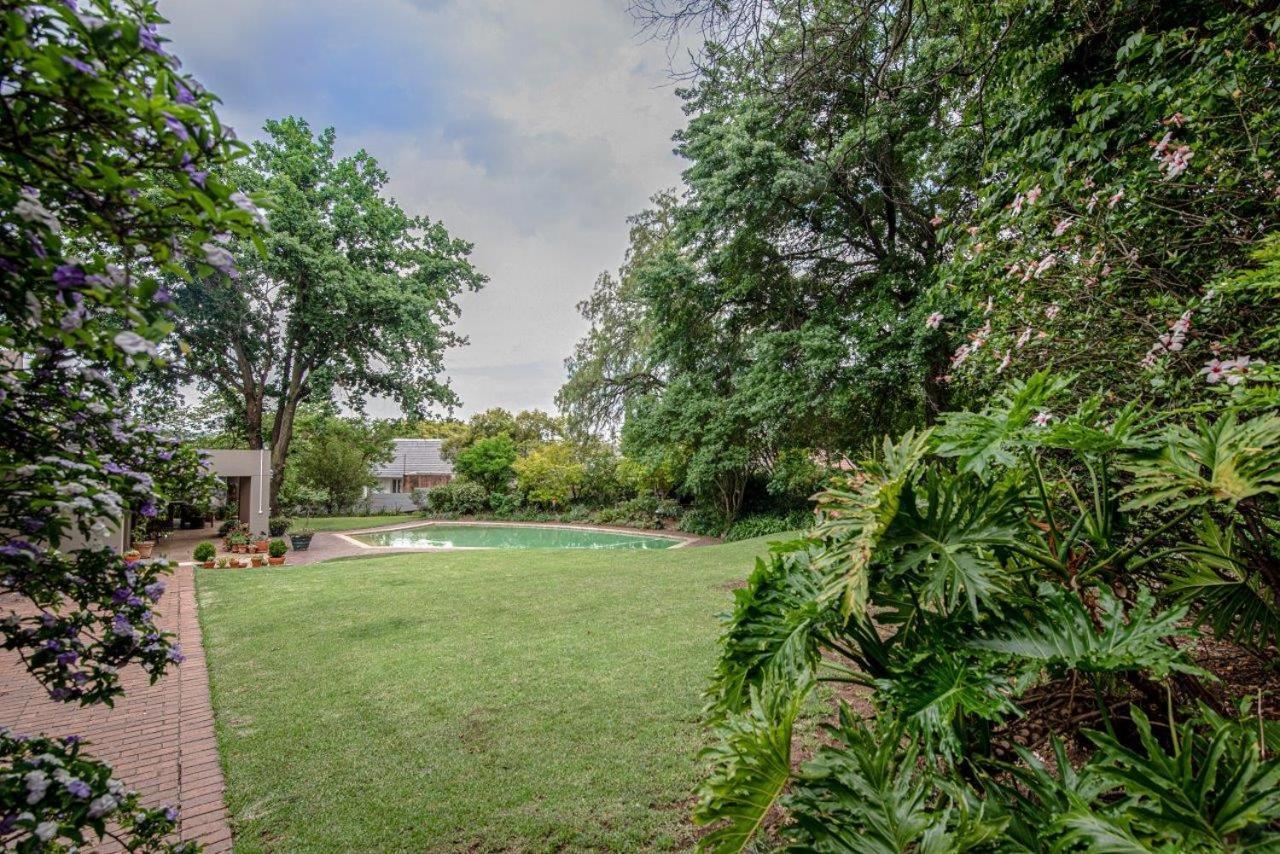 Wild Olive Executive Suite Johannesburg Buitenkant foto