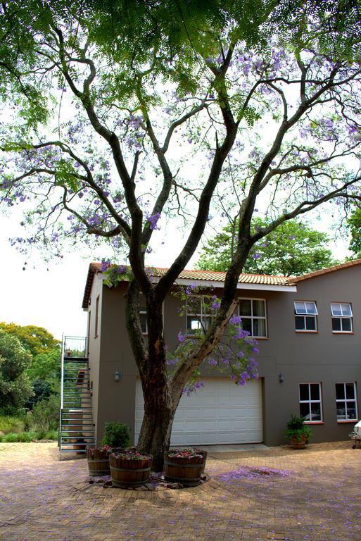 Wild Olive Executive Suite Johannesburg Buitenkant foto
